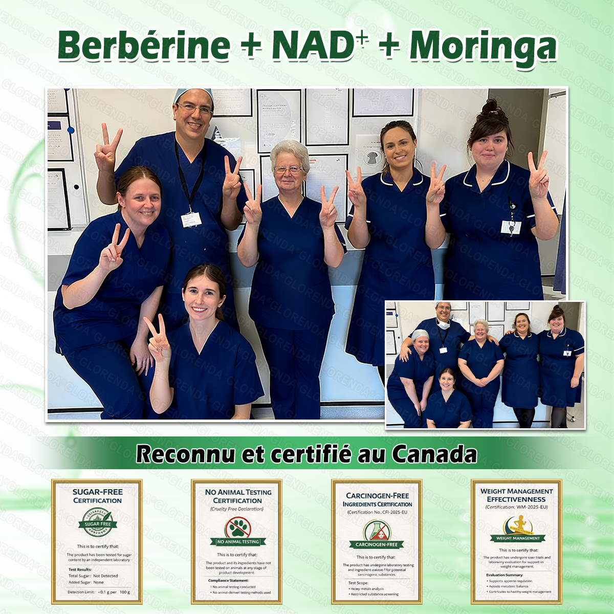 Boutique officielle |  GLORENDA® 2026 Moringa & Berbérine × NAD+ Patch micro-nano avancé 4-en-1(À utiliser une fois par jour, résultats visibles en 7 jours)✅ Pour l’obésité, le relâchement cutané, l’apnée du sommeil, les problèmes articulaires 🎁